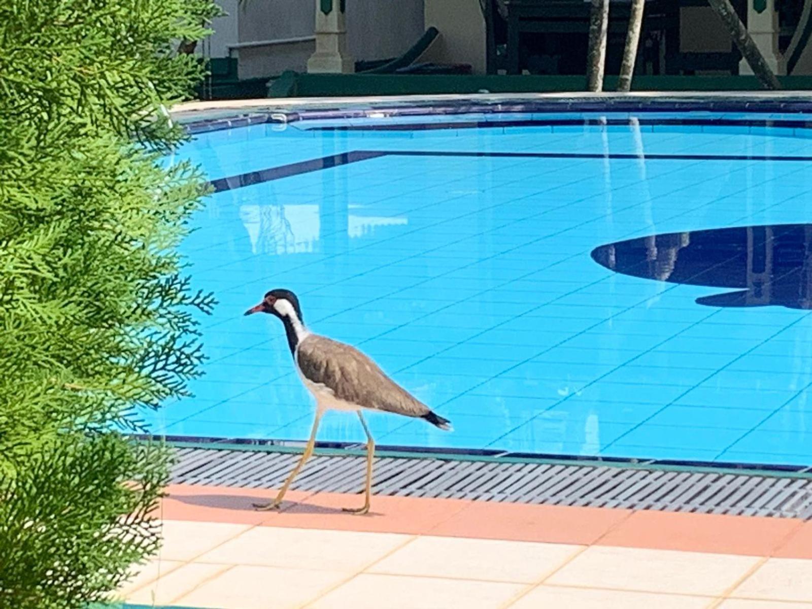 Sagarika Beach Hotel Moragalla Buitenkant foto