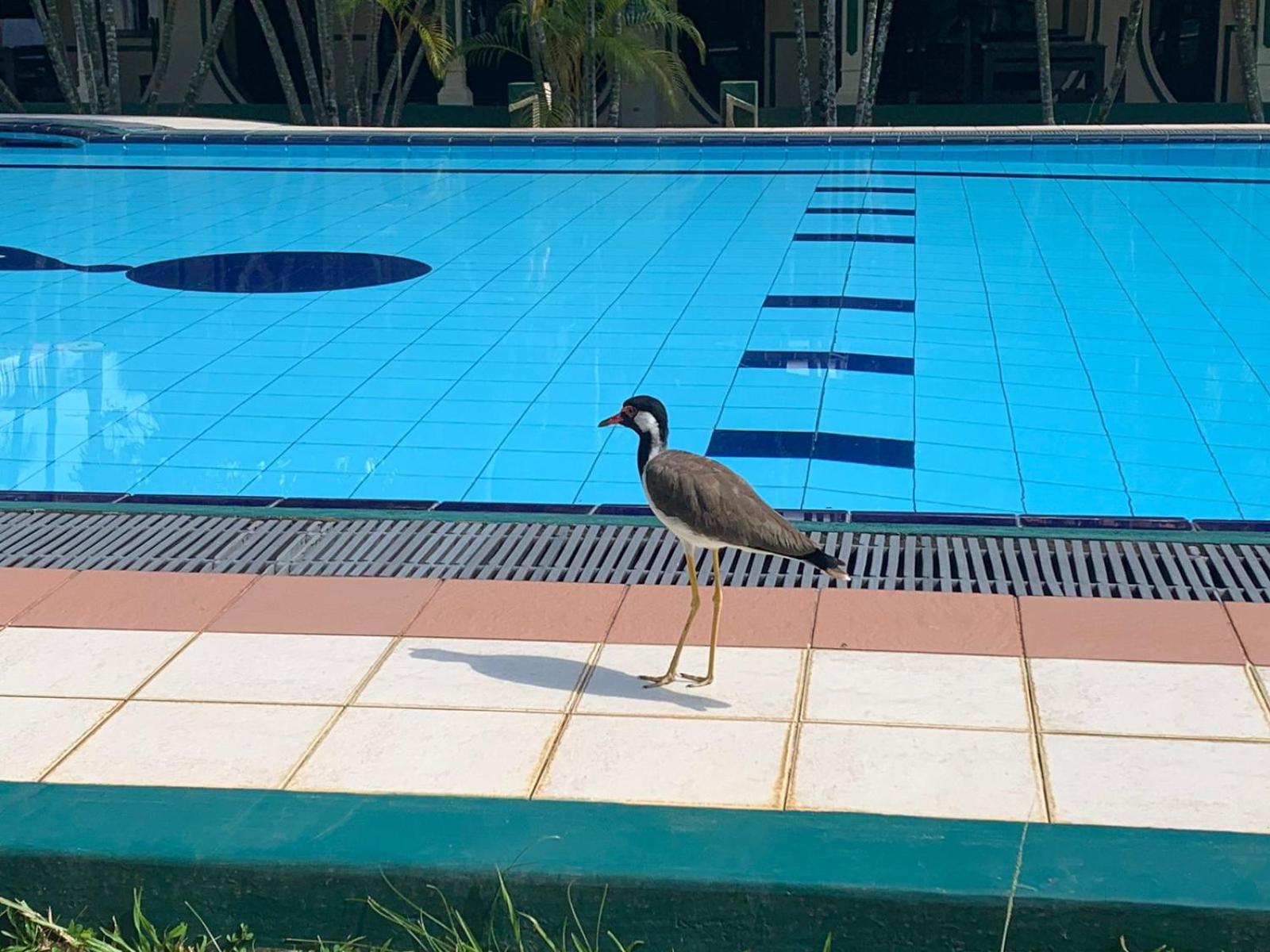 Sagarika Beach Hotel Moragalla Buitenkant foto